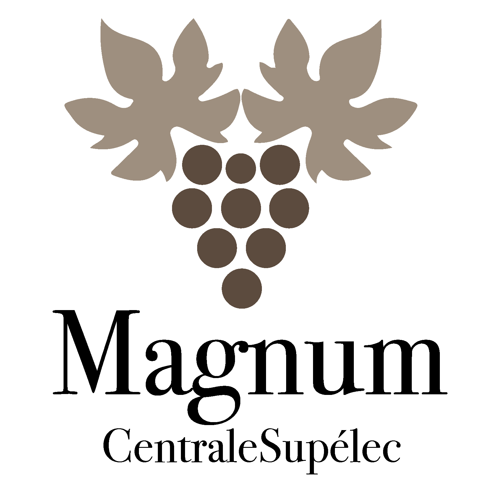 Logo Magnum