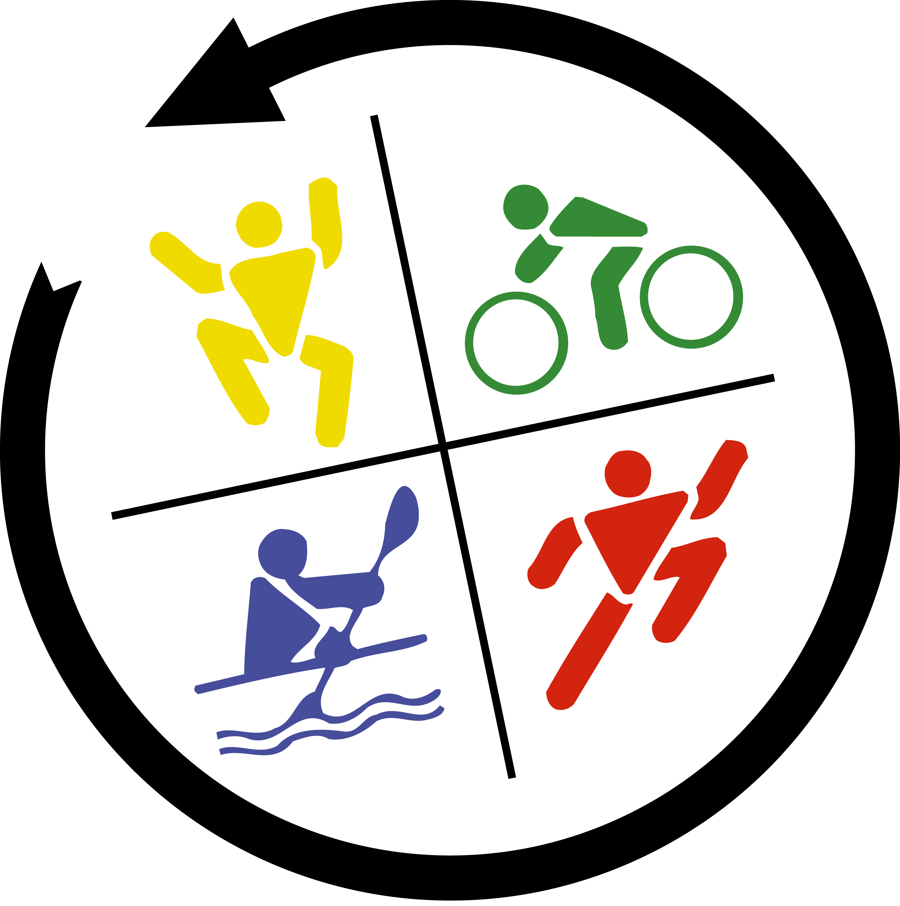 Logo Raid